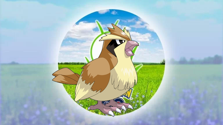 Spotlight Hour: Pidgey