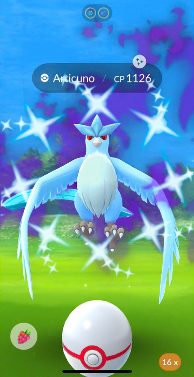 Shadow Articuno