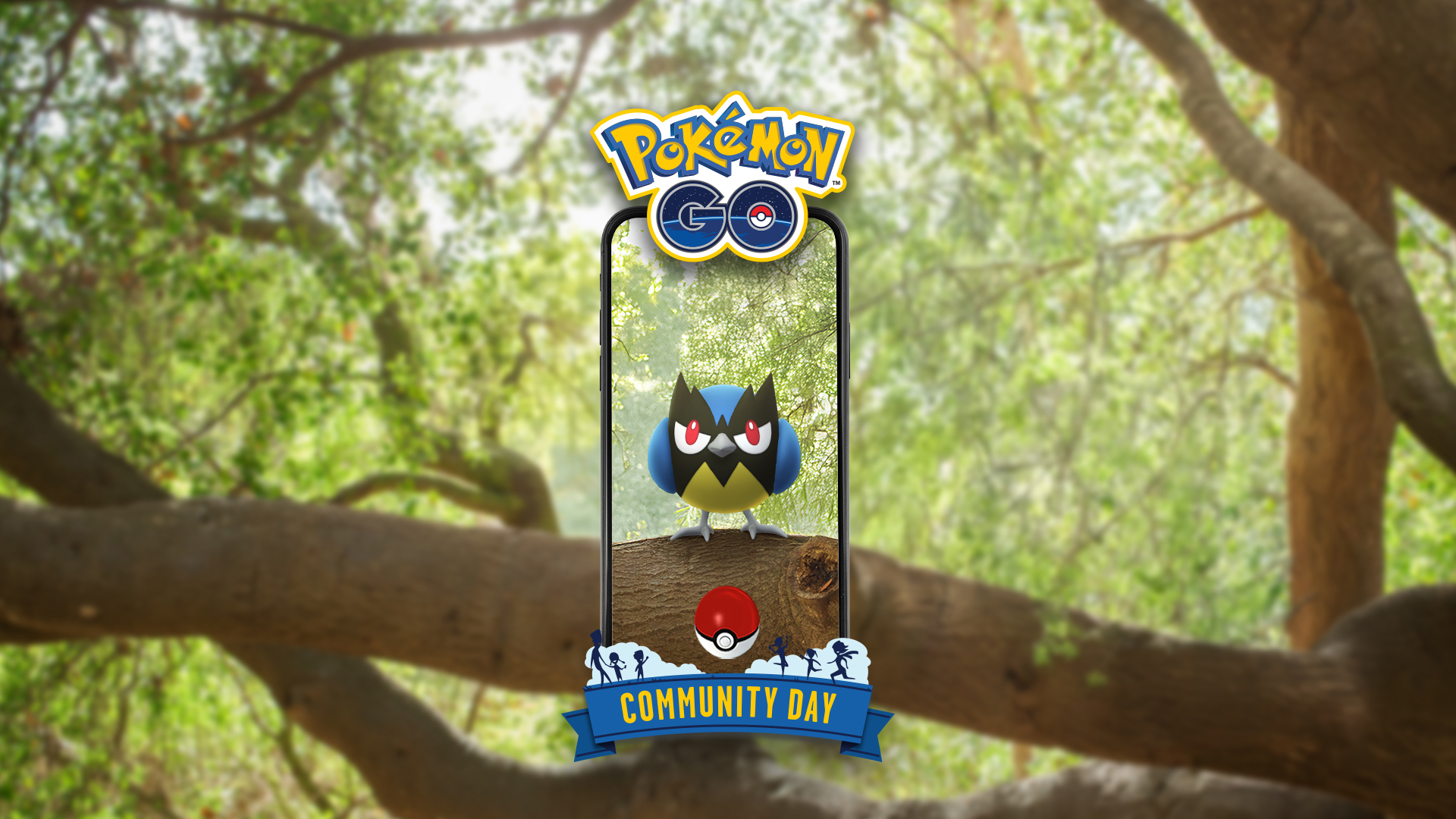 Community Day Rookidee